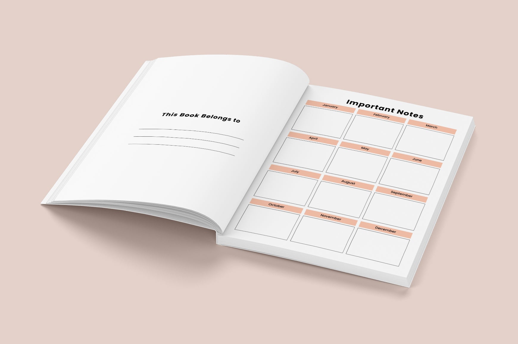 Daily Reflection Journal