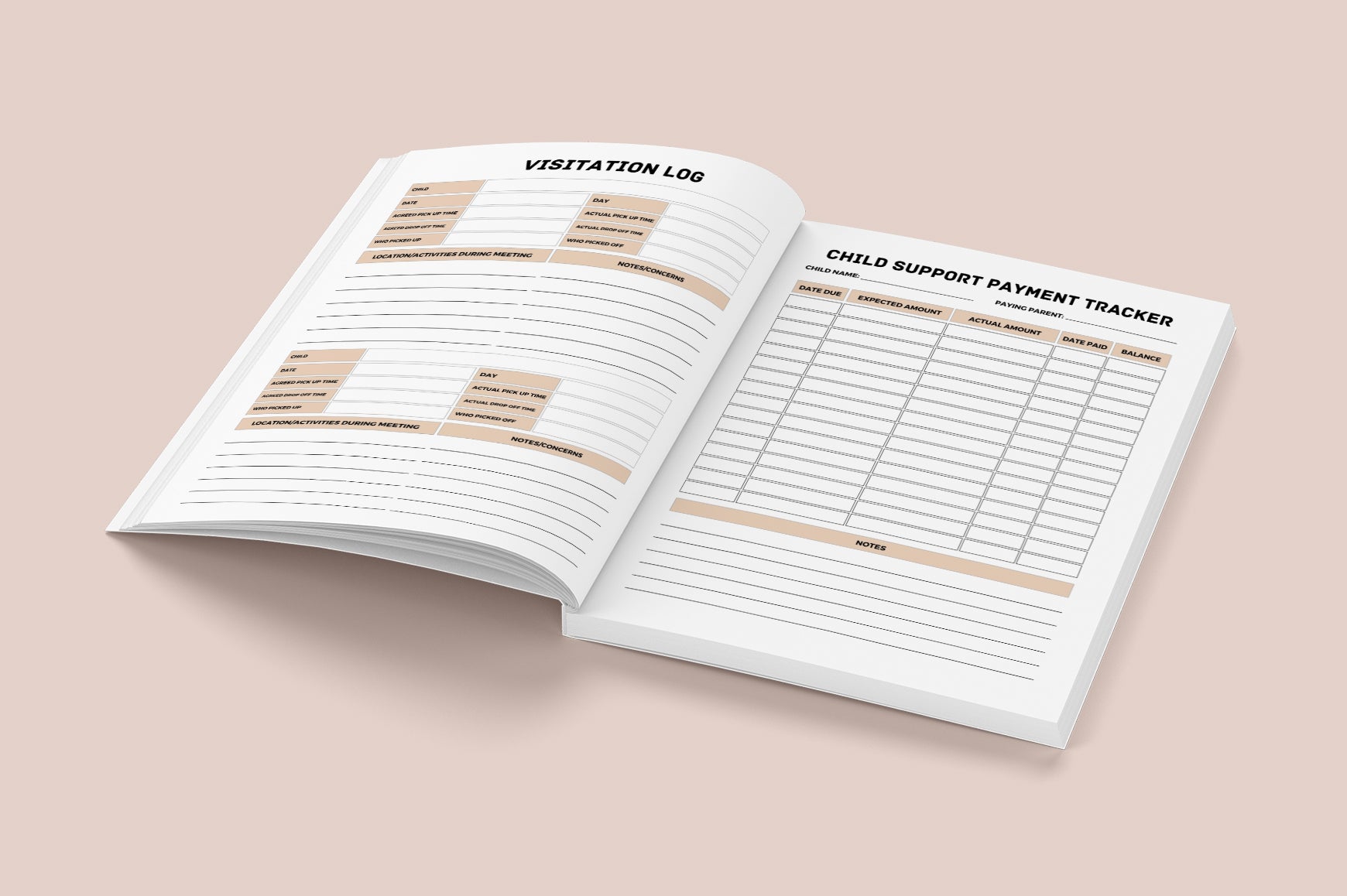 Child Custody Case Management Planner