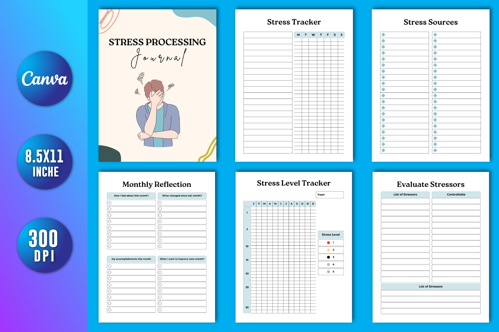 Stress Processing Journal
