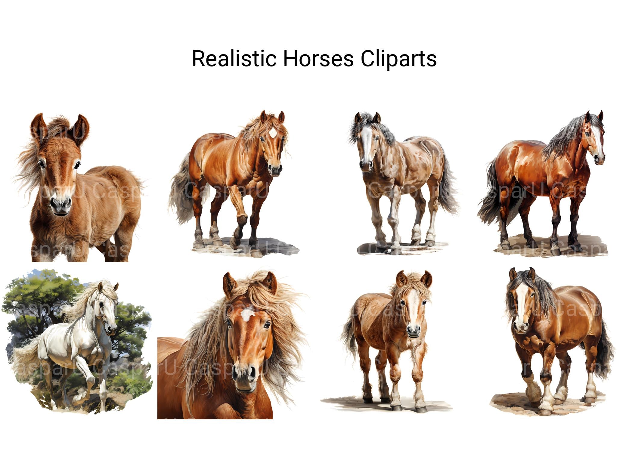 Realistic Horses Clipart - CraftNest