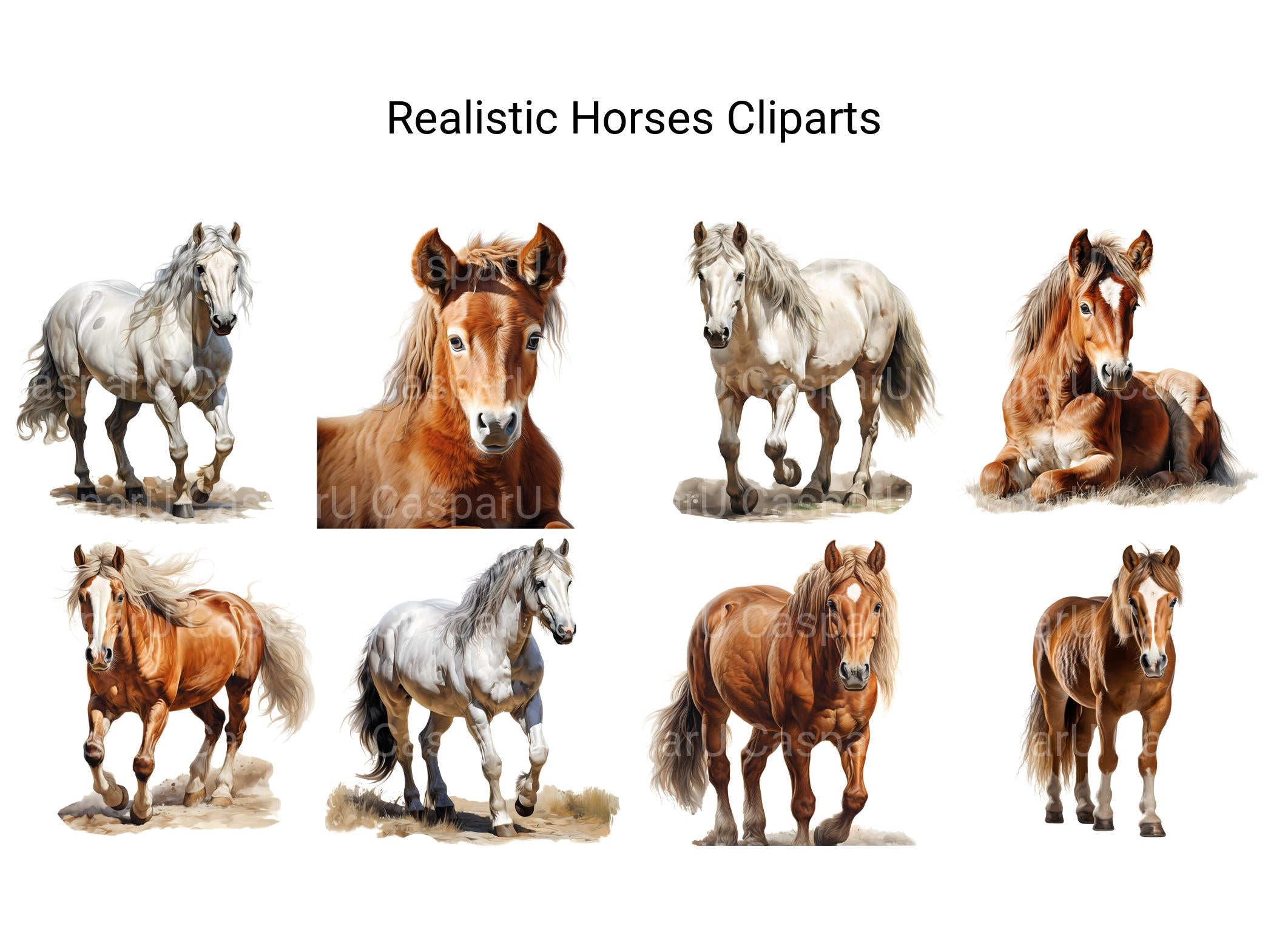 Realistic Horses Clipart - CraftNest