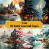 Asia Junk Journalseiten