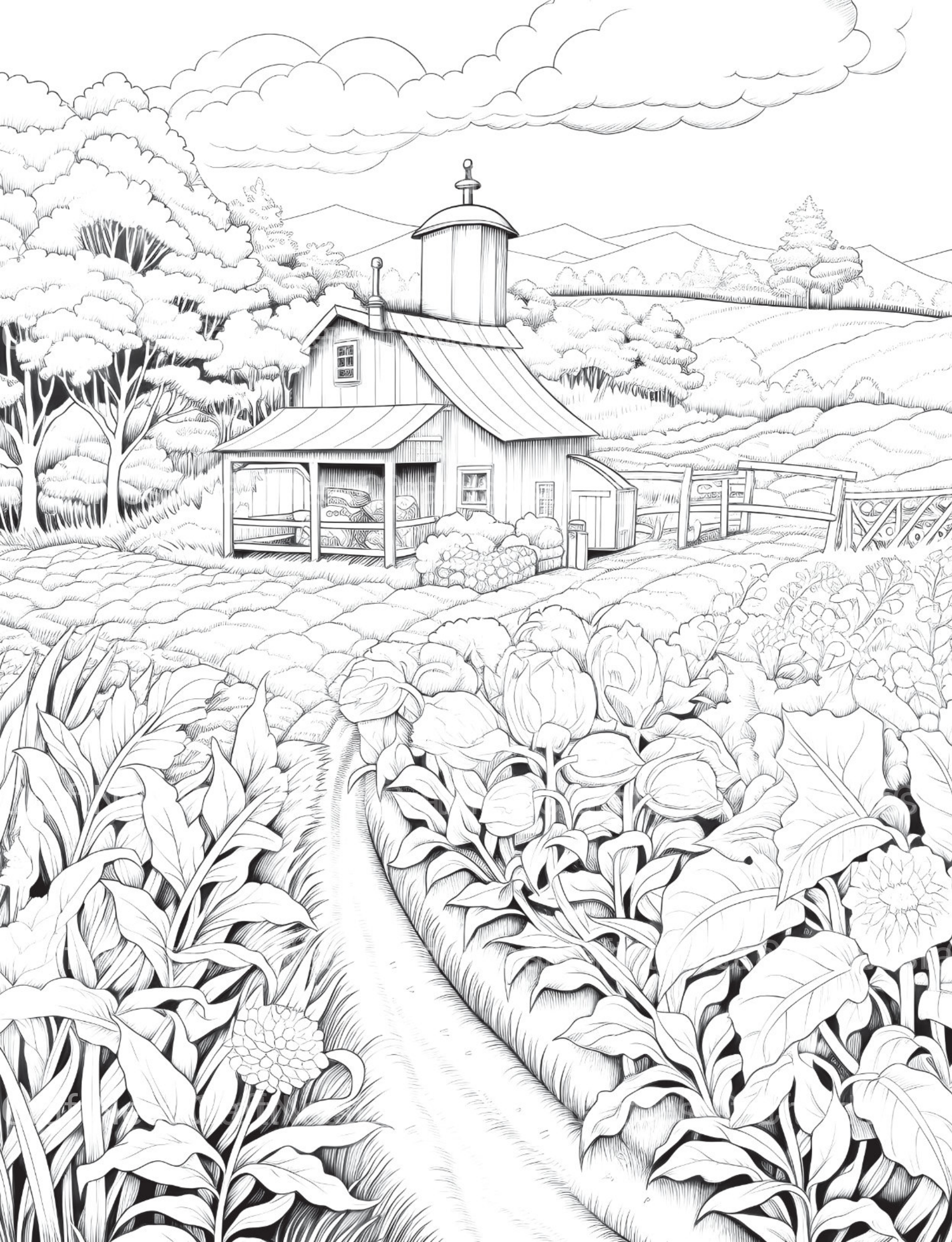 Farmers Garden Coloring Book 2 - CraftNest - Digital Crafting and Art