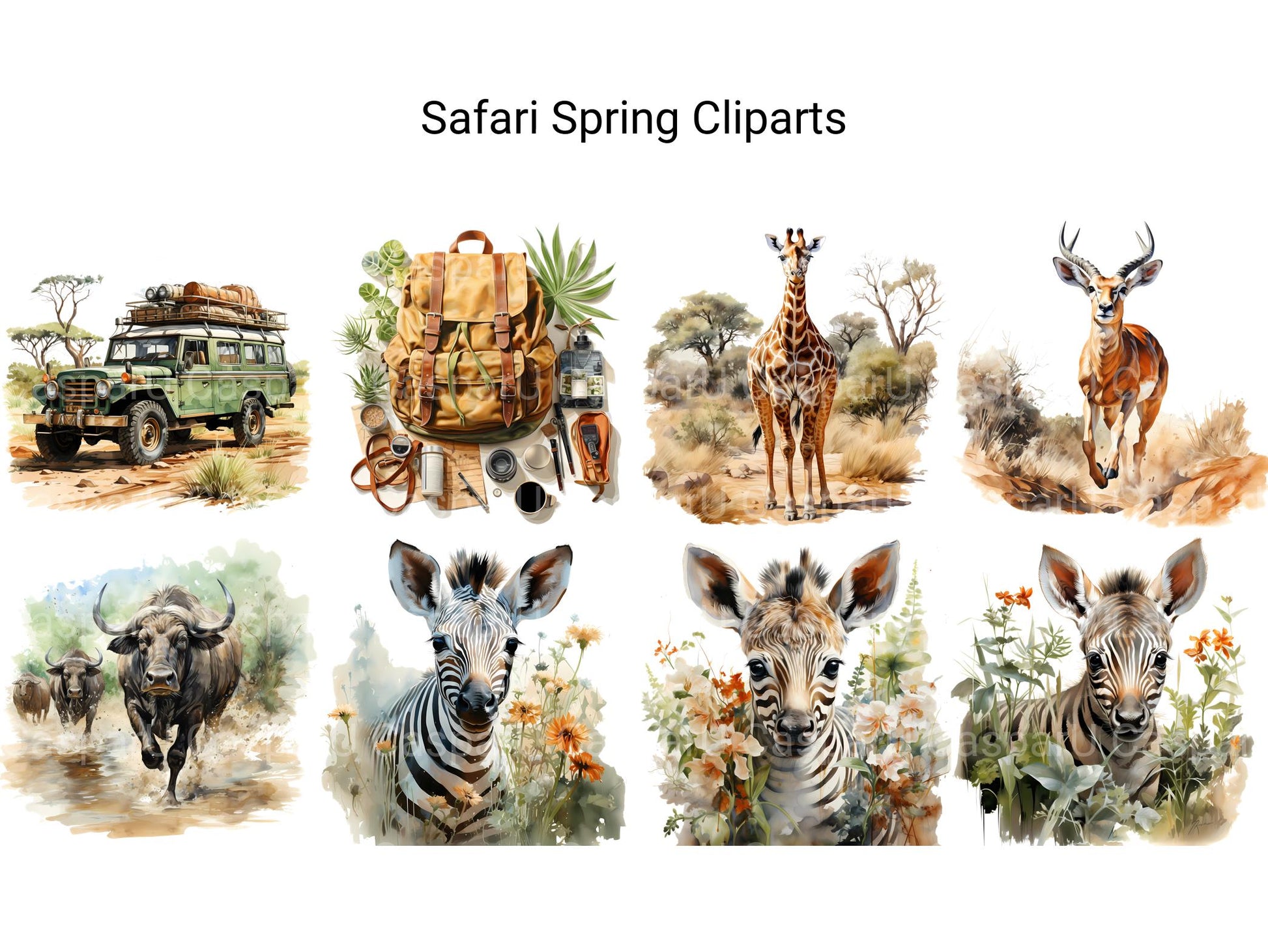 Safari Spring Clipart - CraftNest