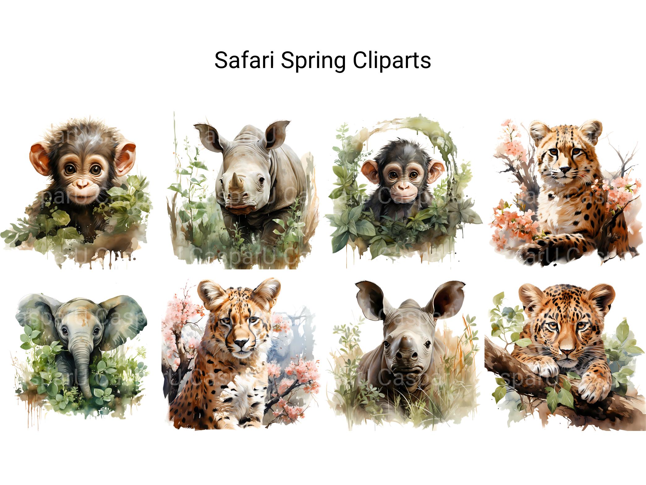 Safari Spring Clipart - CraftNest