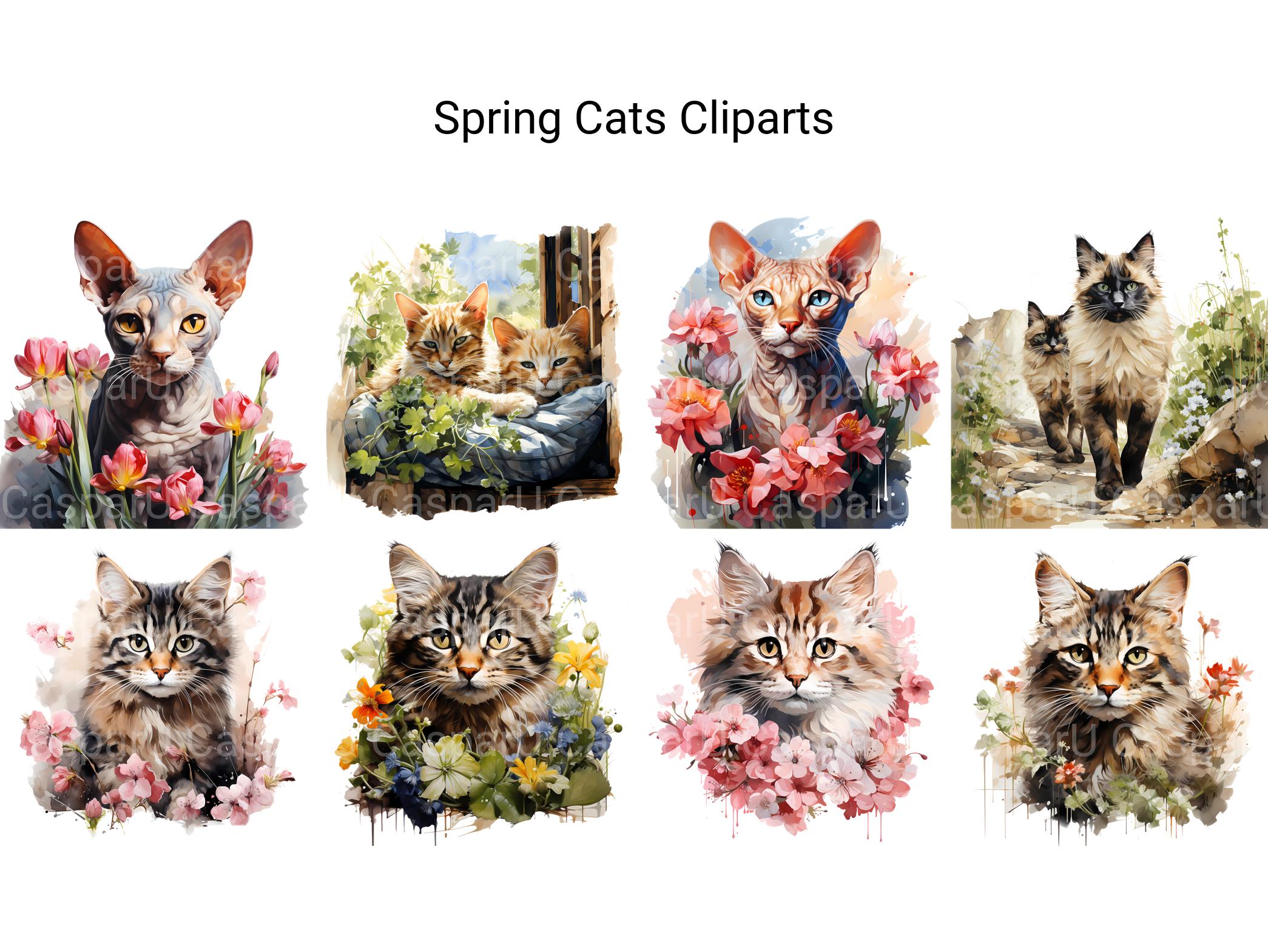 Spring Cats Clipart - CraftNest