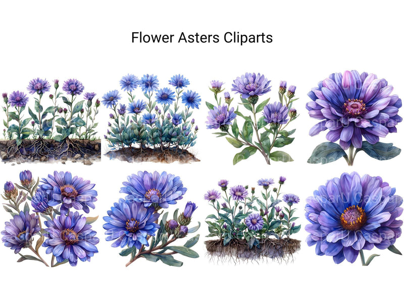 Asters Flowers Clipart - CraftNest - Digital Crafting and Art