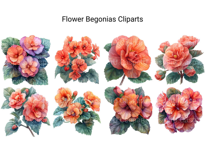 Begonias Flowers Clipart - CraftNest - Digital Crafting and Art