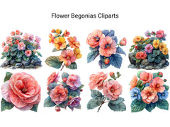 Begonias Flowers Clipart - CraftNest - Digital Crafting and Art