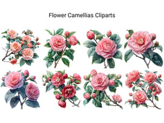 Camellias Flowers Clipart - CraftNest - Digital Crafting and Art