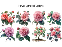 Camellias Flowers Clipart - CraftNest - Digital Crafting and Art