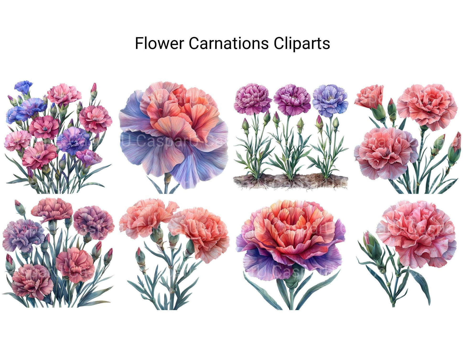 Carnations Flowers Clipart - CraftNest - Digital Crafting and Art