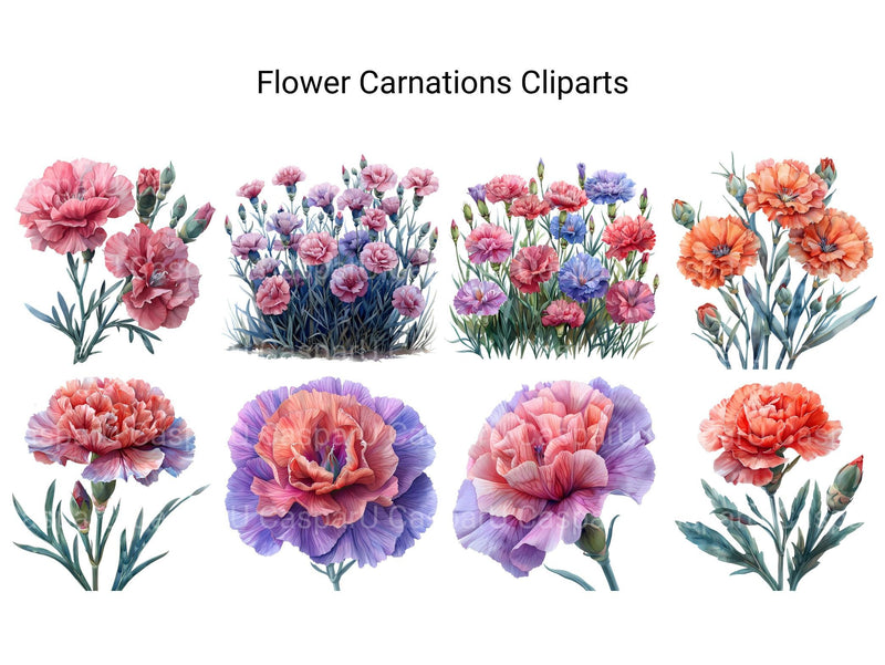 Carnations Flowers Clipart - CraftNest - Digital Crafting and Art