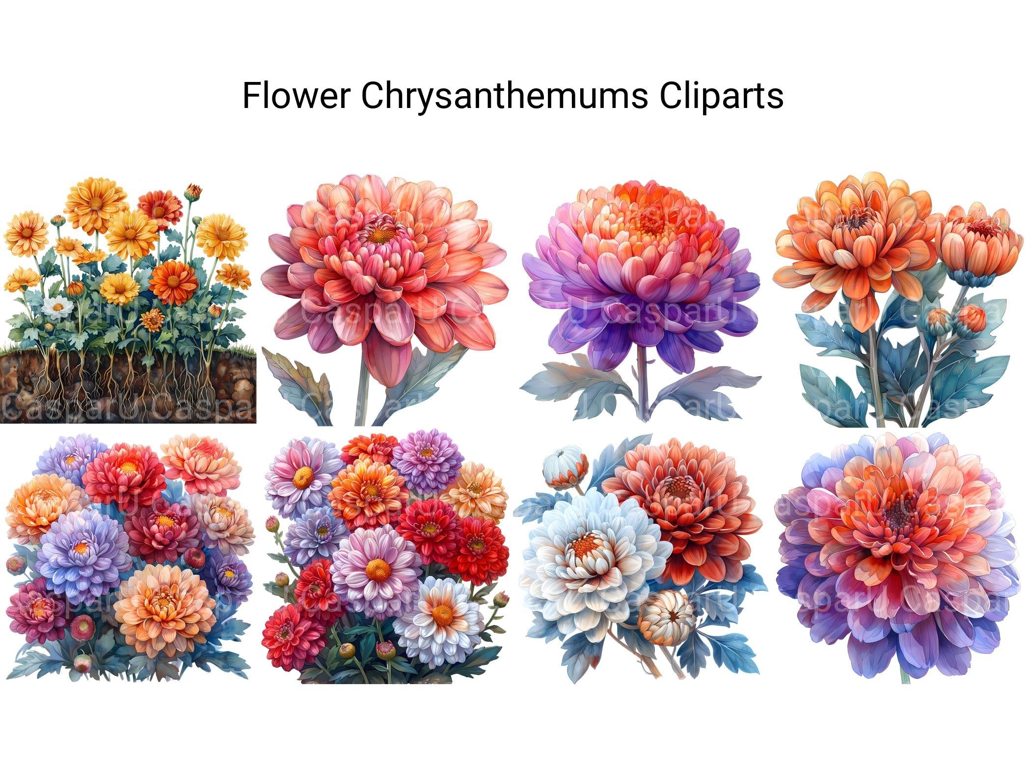 Chrysanthemums Flowers Clipart - CraftNest - Digital Crafting and Art