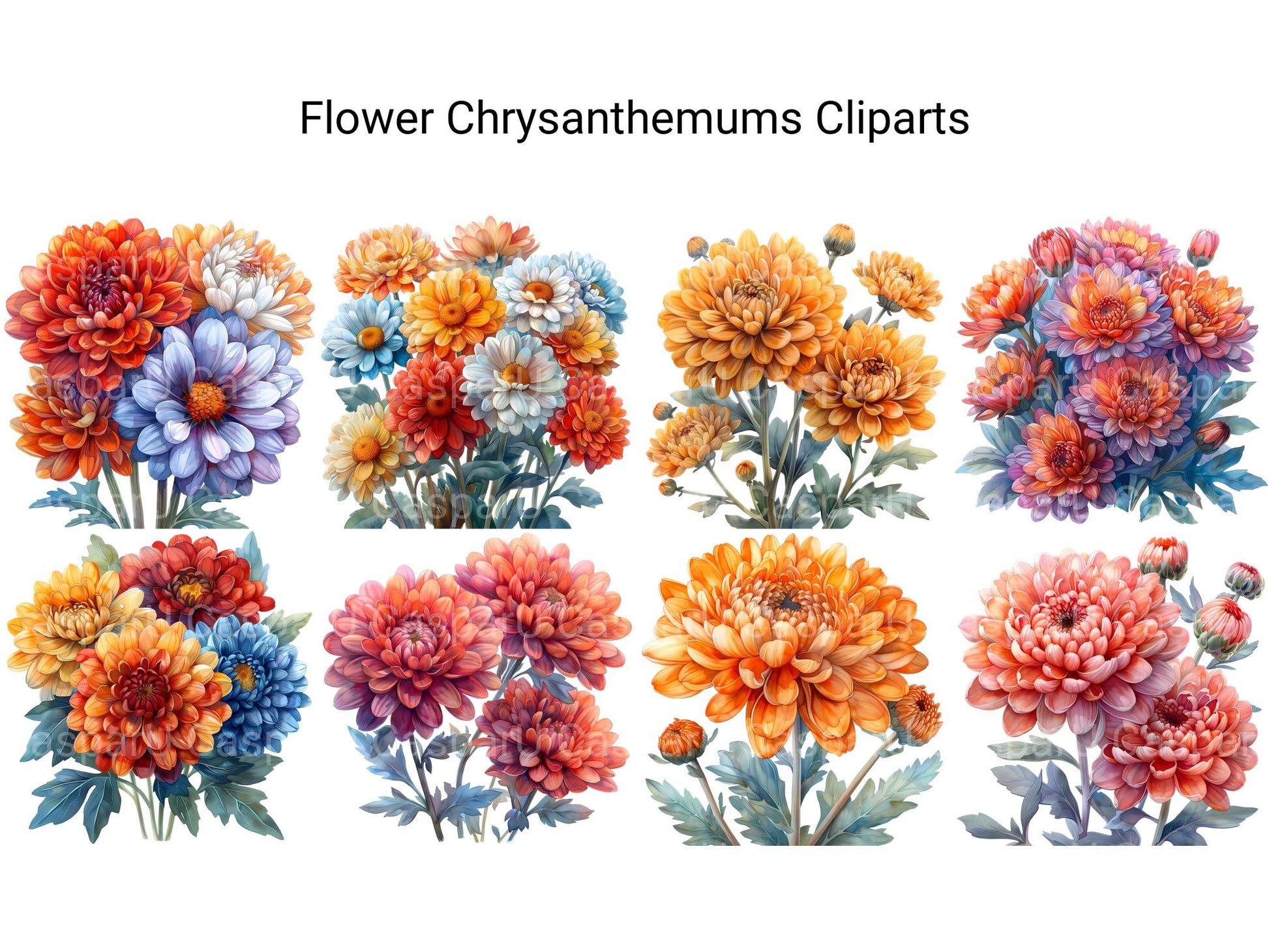 Chrysanthemums Flowers Clipart - CraftNest - Digital Crafting and Art