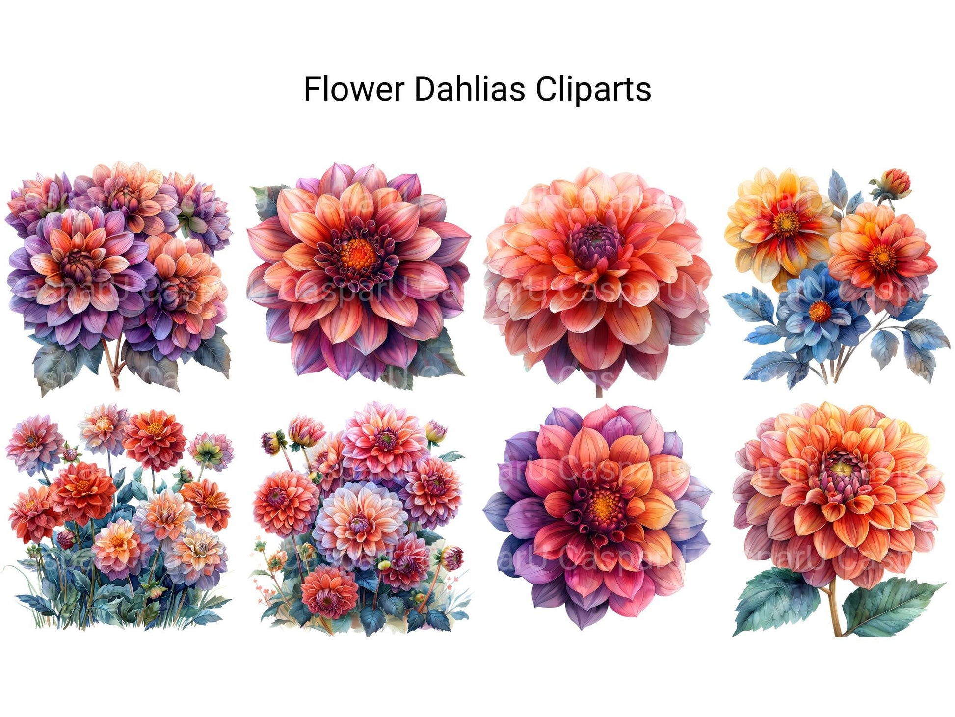 Dahlias Flowers Clipart - CraftNest - Digital Crafting and Art