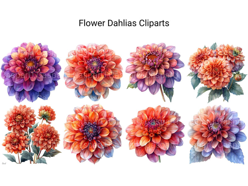 Dahlias Flowers Clipart - CraftNest - Digital Crafting and Art