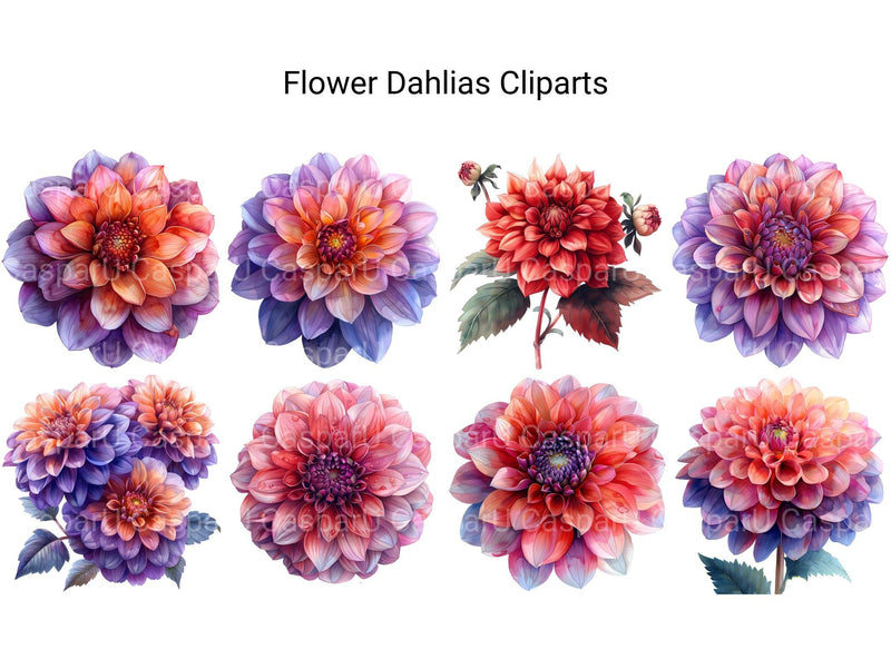 Dahlias Flowers Clipart - CraftNest - Digital Crafting and Art