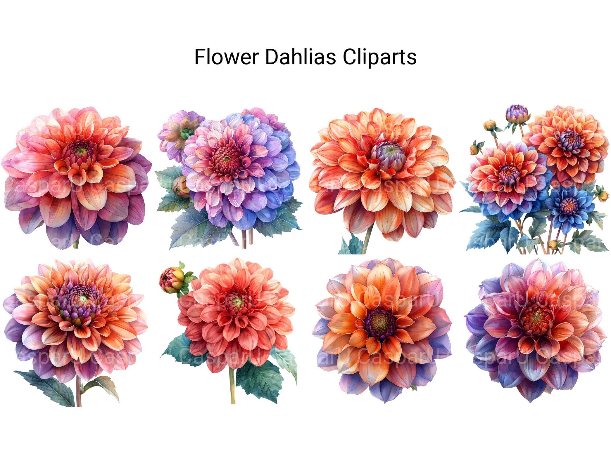 Dahlias Flowers Clipart - CraftNest - Digital Crafting and Art