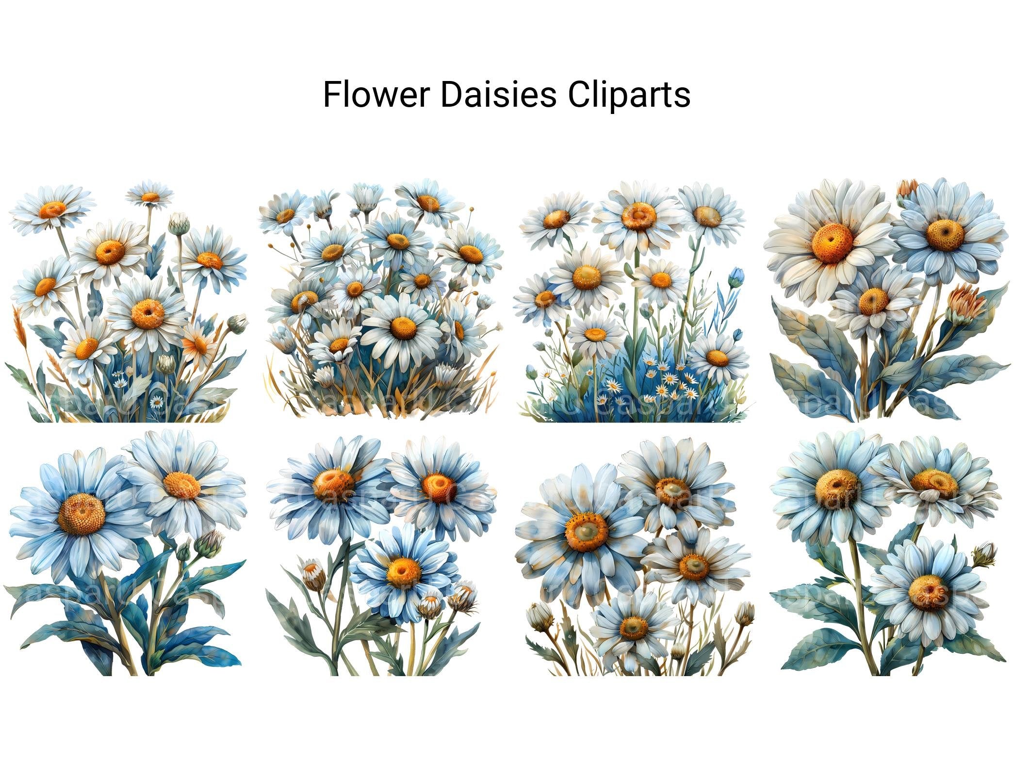 Daisies Flowers Clipart - CraftNest - Digital Crafting and Art