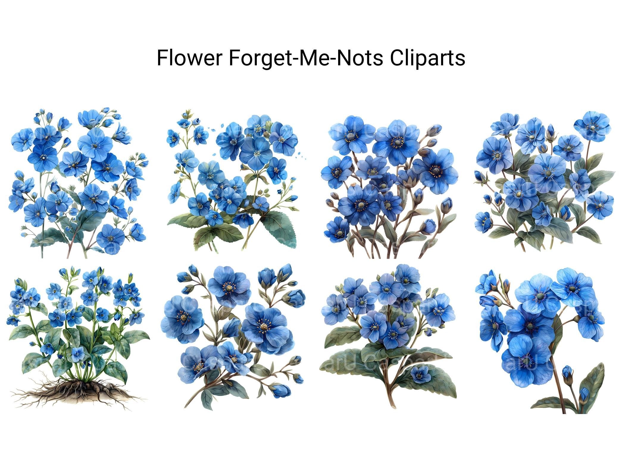 Forget-Me-Nots Flowers Clipart - CraftNest - Digital Crafting and Art