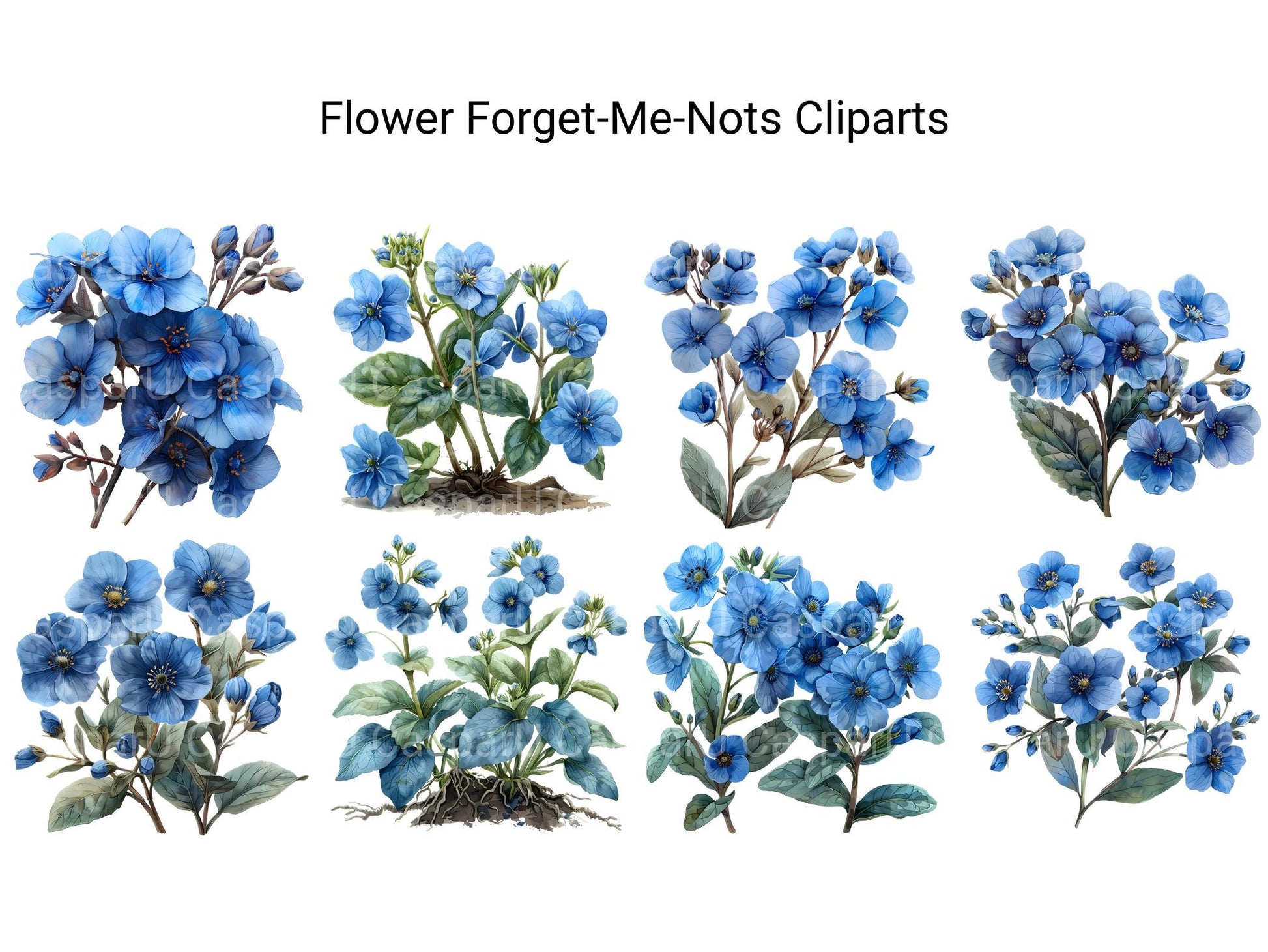 Forget-Me-Nots Flowers Clipart - CraftNest - Digital Crafting and Art