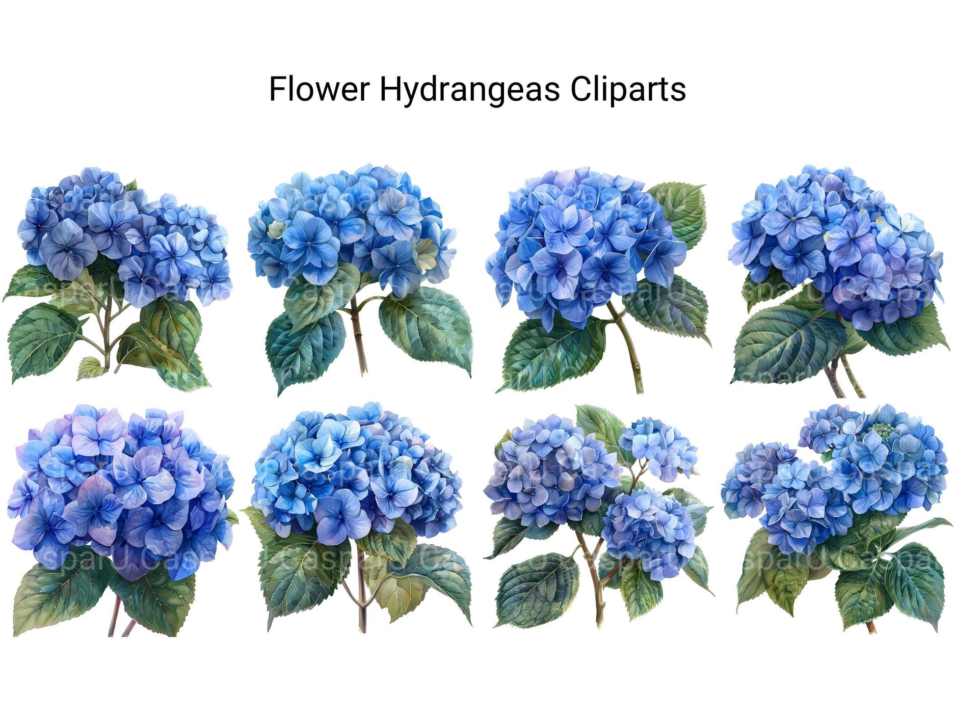 Hydrangeas Flowers Clipart - CraftNest - Digital Crafting and Art