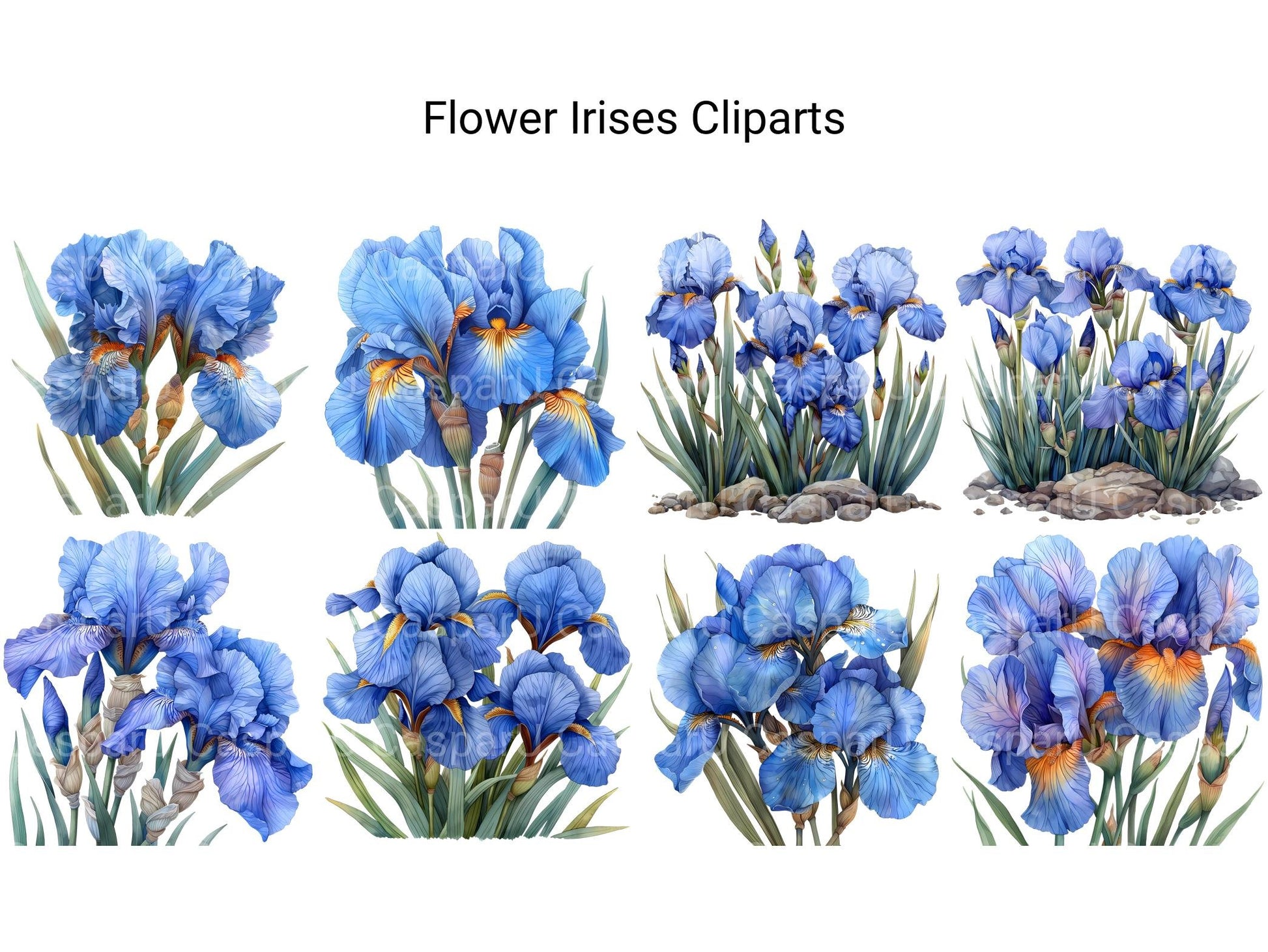 Irises Flowers Clipart - CraftNest - Digital Crafting and Art