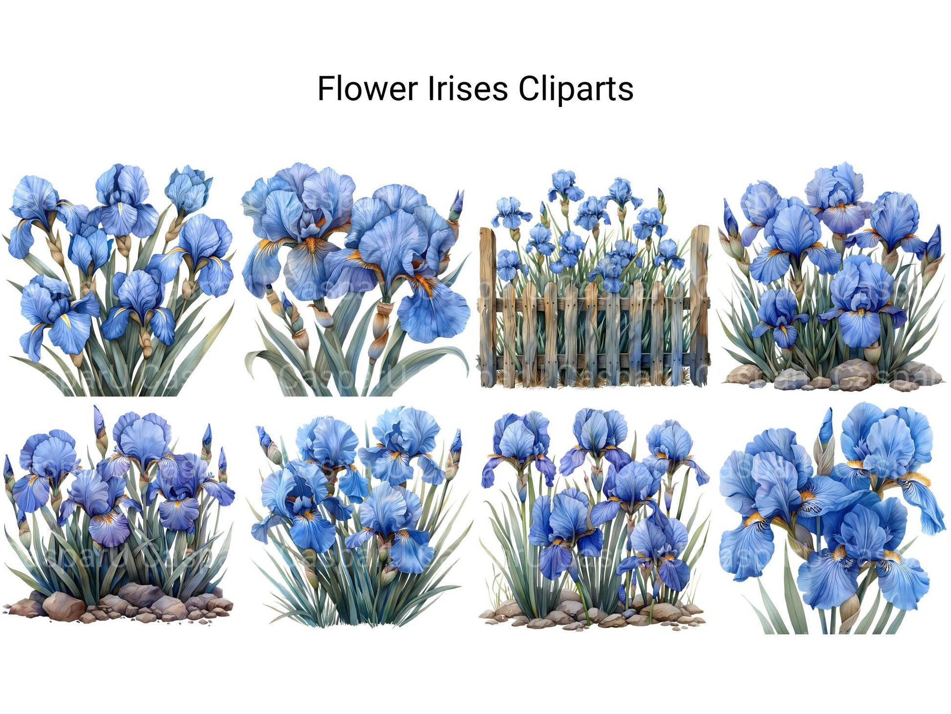 Irises Flowers Clipart - CraftNest - Digital Crafting and Art