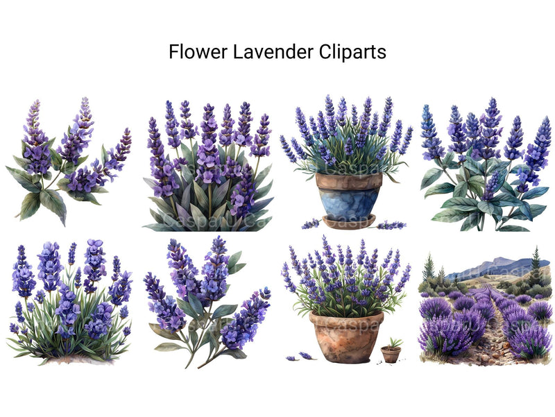 Lavender Flowers Clipart - CraftNest - Digital Crafting and Art