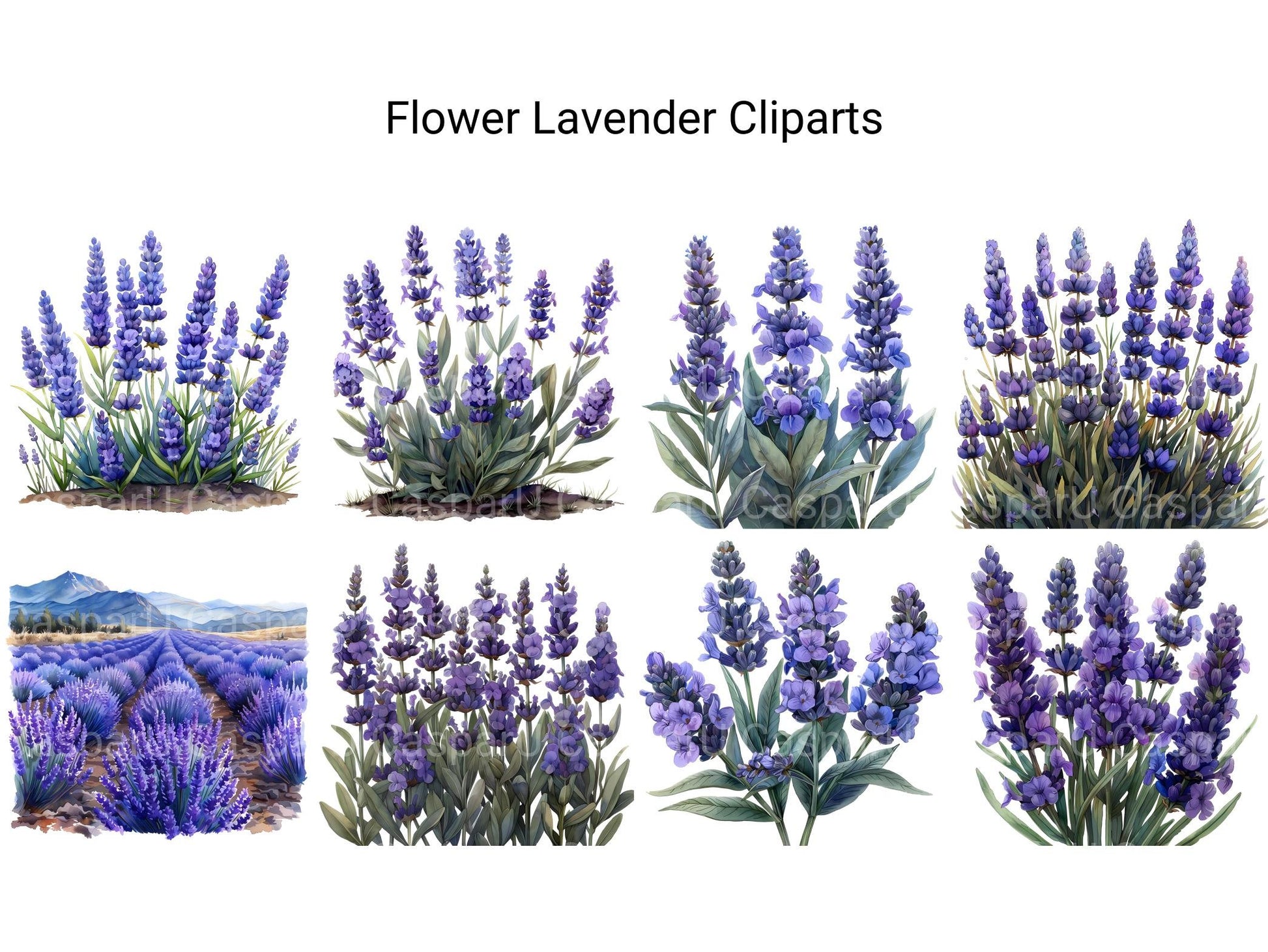 Lavender Flowers Clipart - CraftNest - Digital Crafting and Art