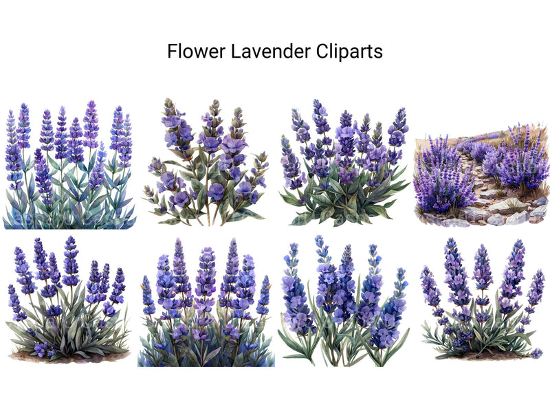 Lavender Flowers Clipart - CraftNest - Digital Crafting and Art