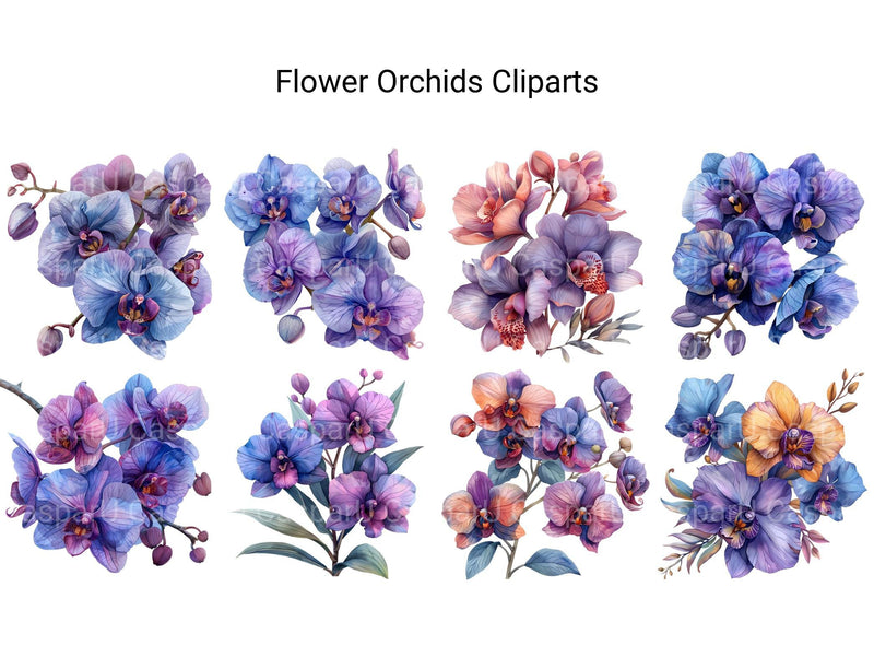 Orchids Flowers Clipart - CraftNest - Digital Crafting and Art