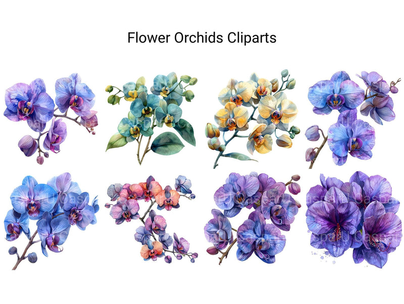 Orchids Flowers Clipart - CraftNest - Digital Crafting and Art