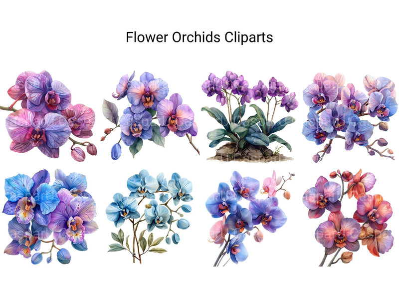 Orchids Flowers Clipart - CraftNest - Digital Crafting and Art