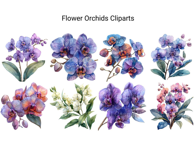 Orchids Flowers Clipart - CraftNest - Digital Crafting and Art