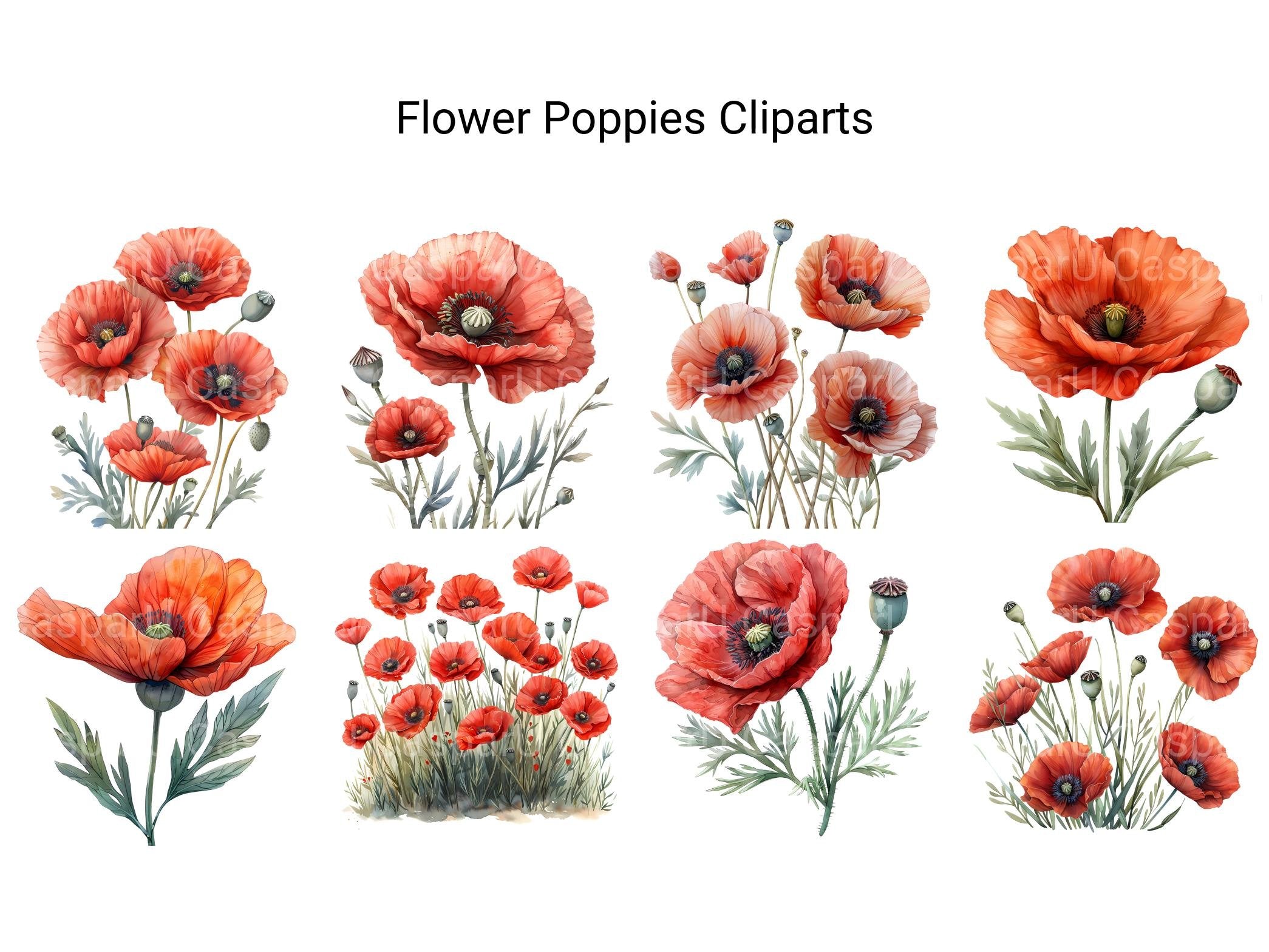 Poppies Flowers Clipart - CraftNest - Digital Crafting and Art