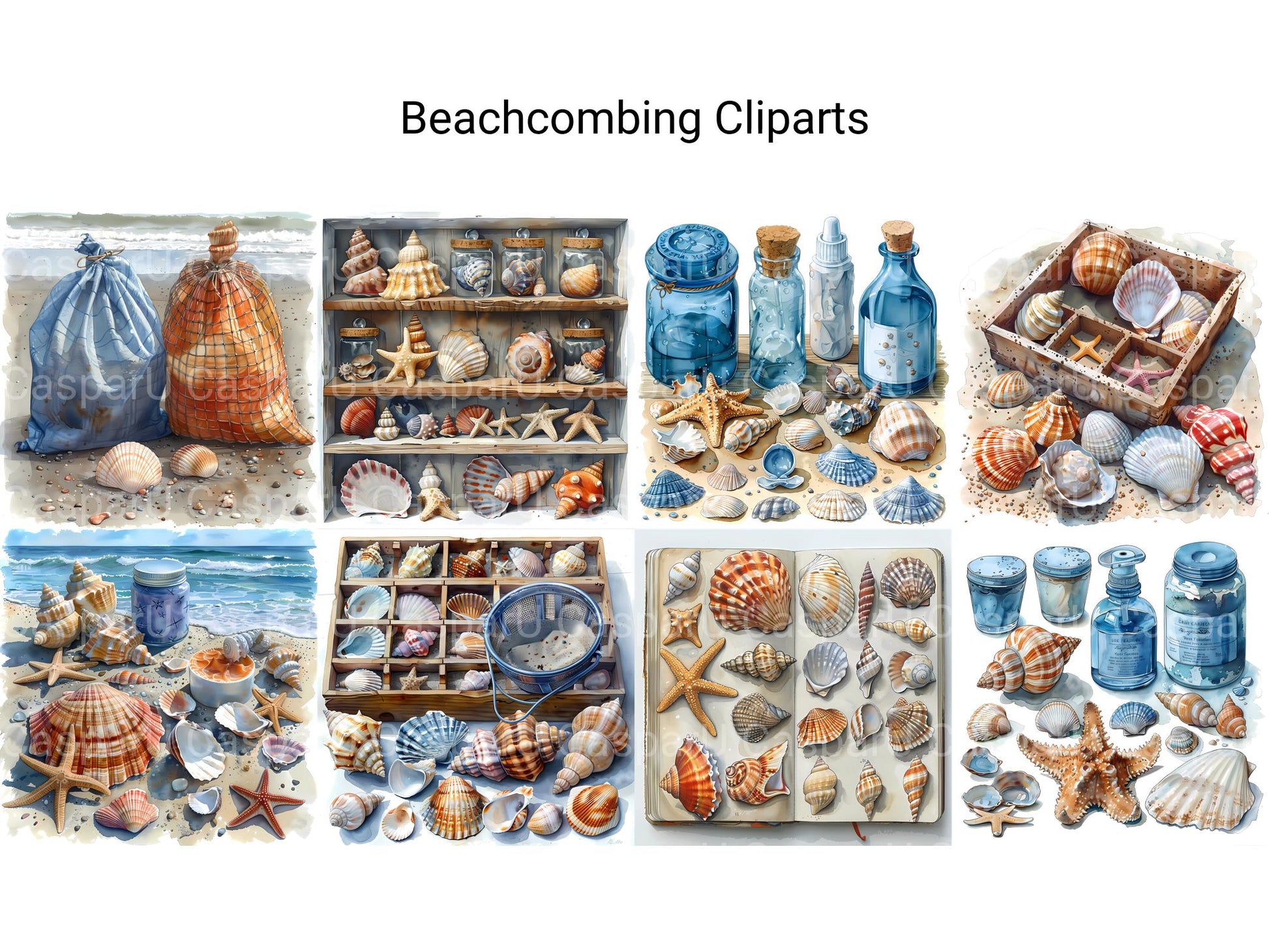 Beachcombing Clipart - CraftNest - Digital Crafting and Art