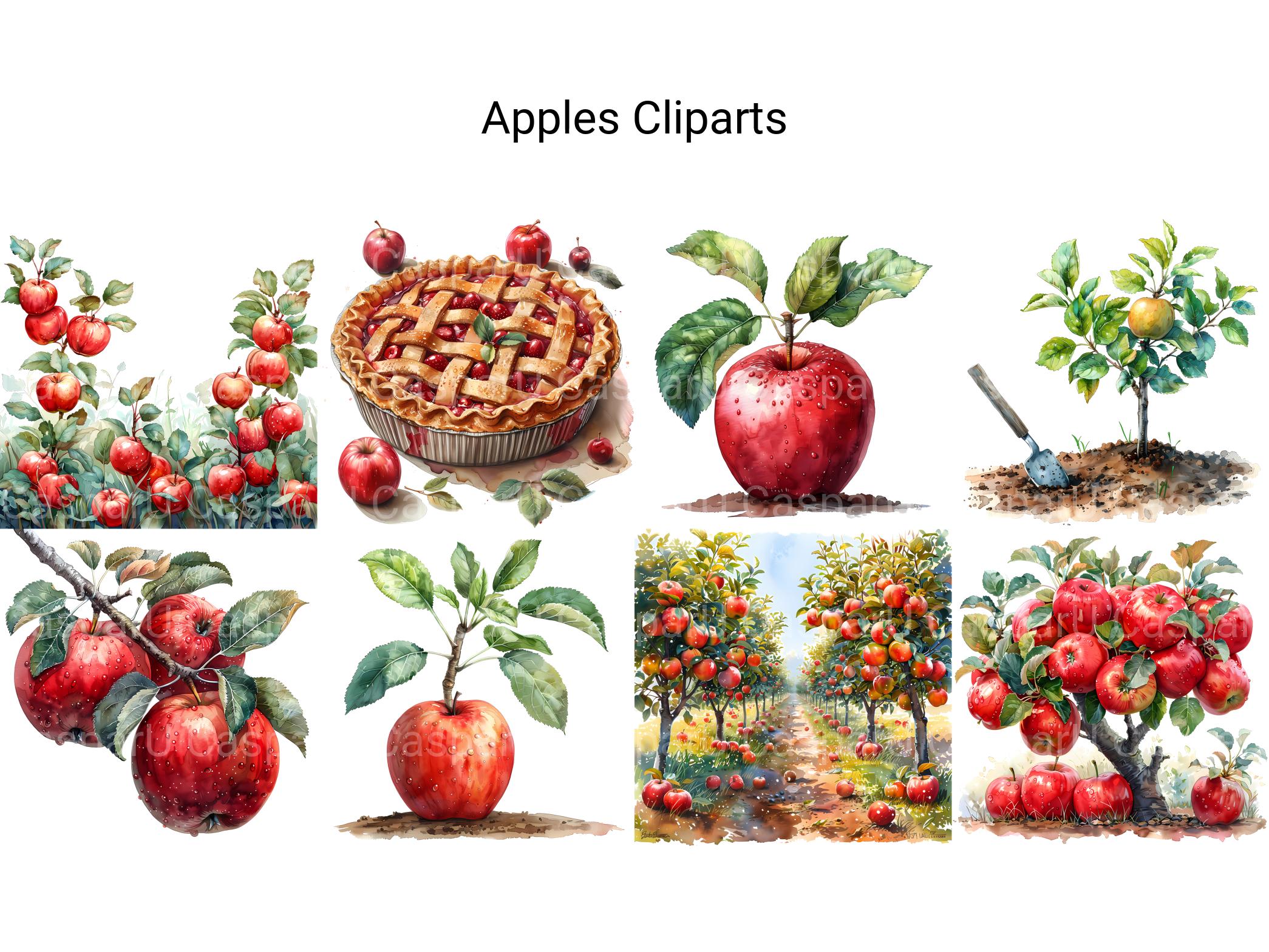 Apple Clipart - CraftNest - Digital Crafting and Art