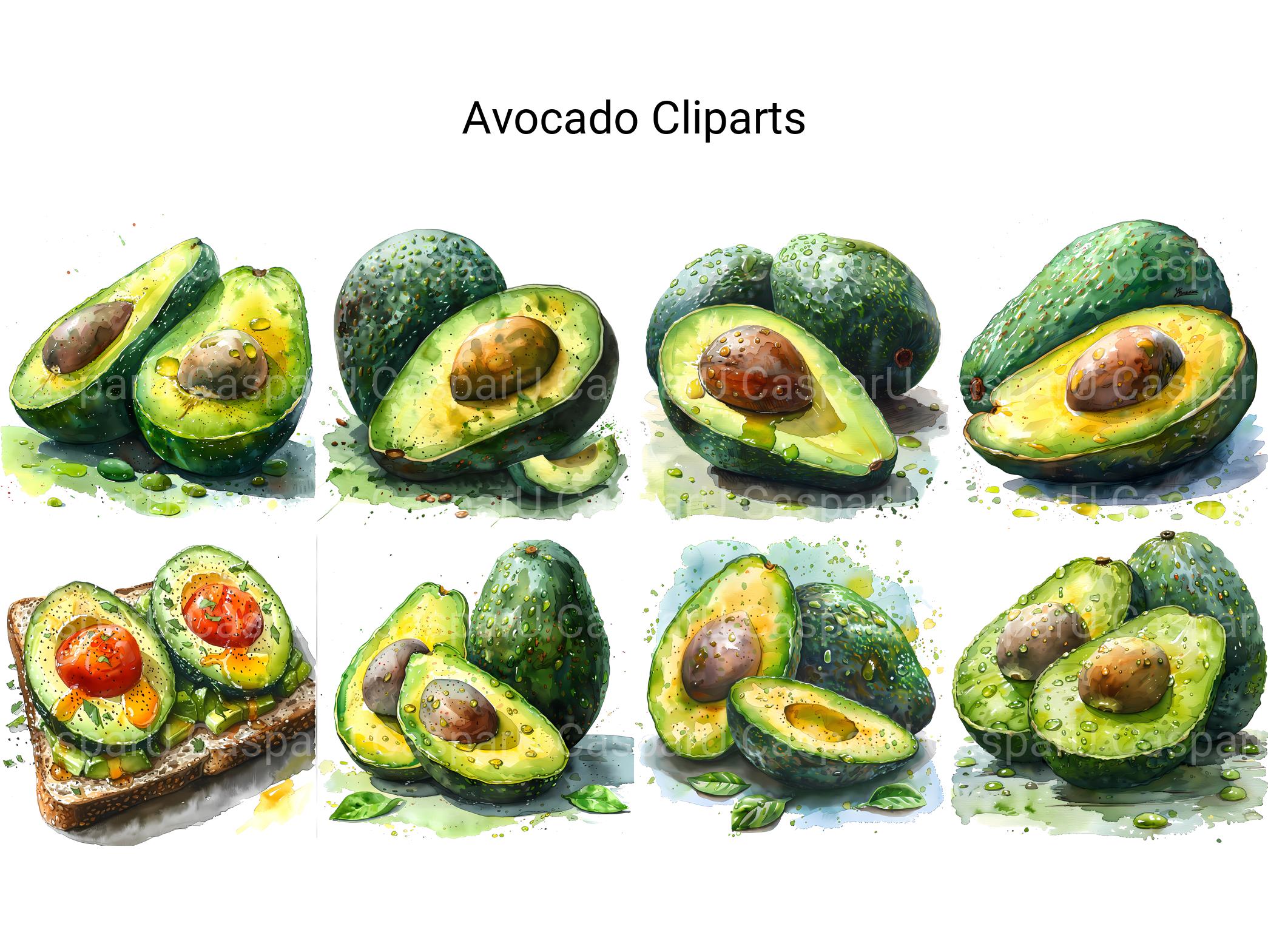 Avocado Clipart - CraftNest - Digital Crafting and Art