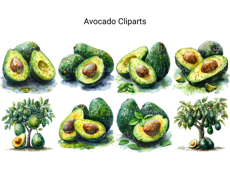 Avocado Clipart - CraftNest - Digital Crafting and Art