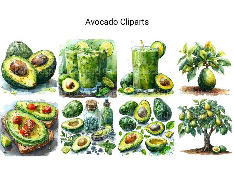 Avocado Clipart - CraftNest - Digital Crafting and Art