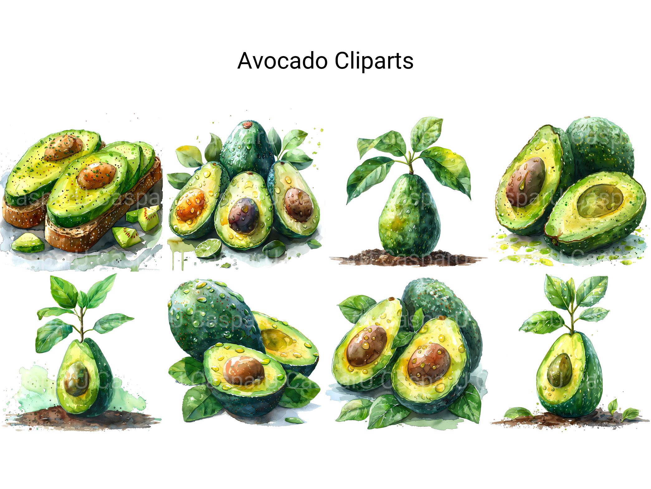 Avocado Clipart - CraftNest - Digital Crafting and Art