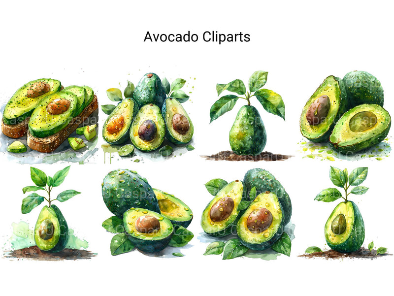 Avocado Clipart - CraftNest - Digital Crafting and Art