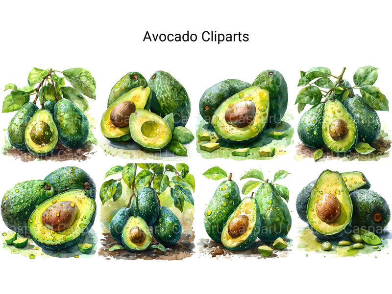 Avocado Clipart - CraftNest - Digital Crafting and Art