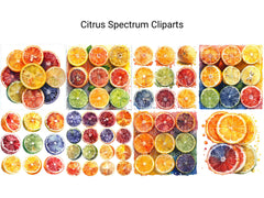 Citrus Spectrum Clipart - CraftNest - Digital Crafting and Art