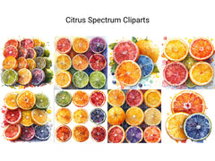 Citrus Spectrum Clipart - CraftNest - Digital Crafting and Art