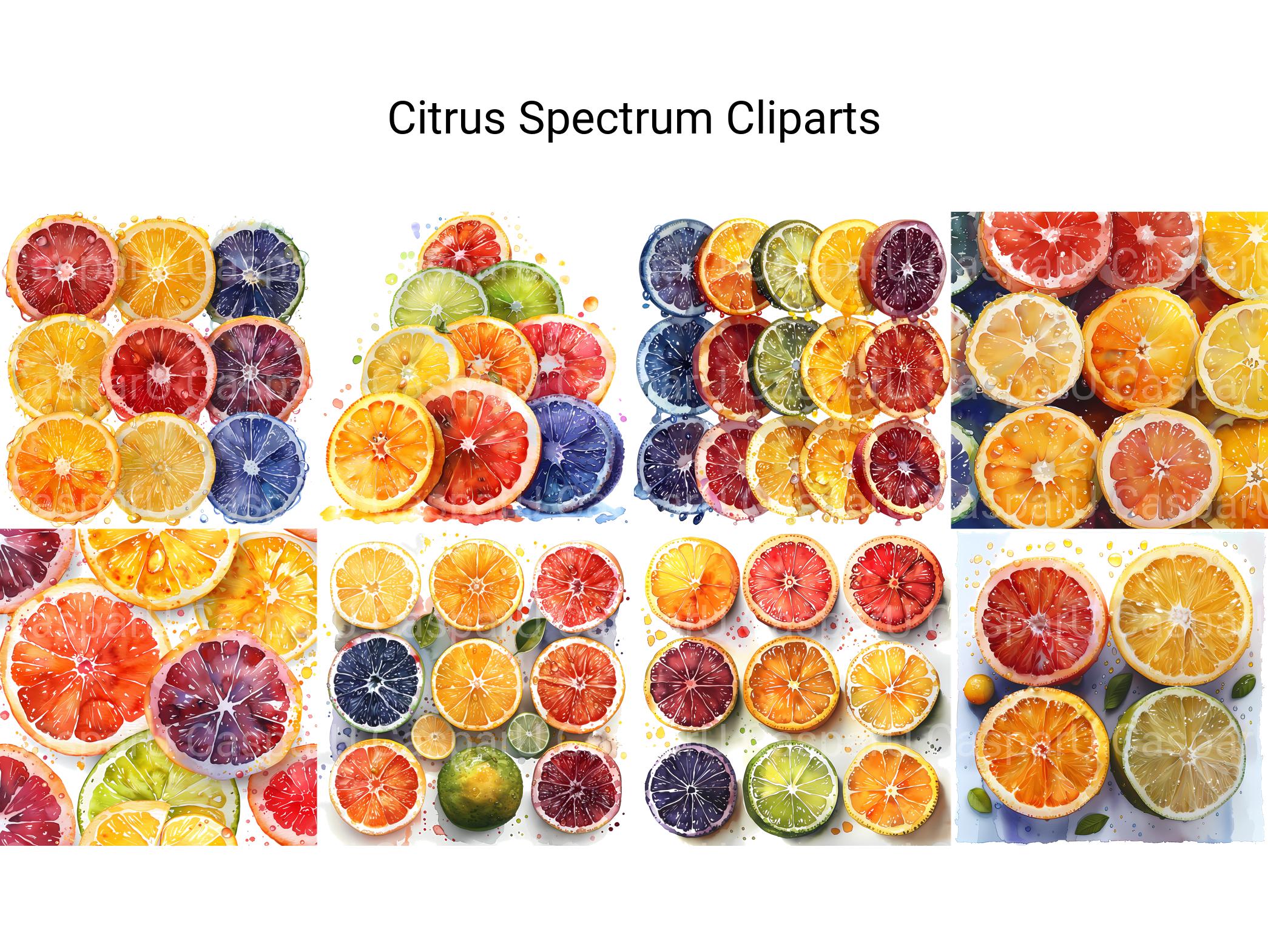 Citrus Spectrum Clipart - CraftNest - Digital Crafting and Art