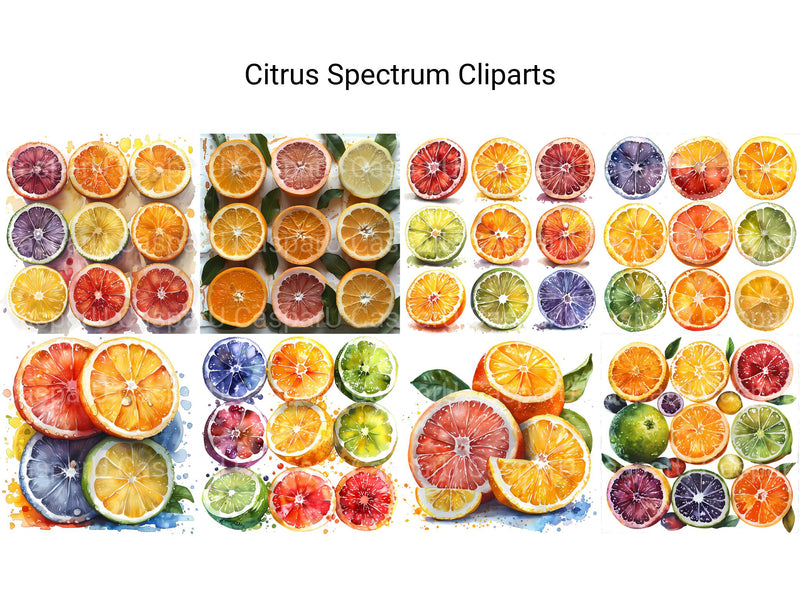 Citrus Spectrum Clipart - CraftNest - Digital Crafting and Art