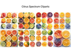 Citrus Spectrum Clipart - CraftNest - Digital Crafting and Art